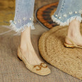 Kaki